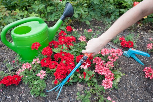 Professional lawn mowing service in Uxbridge