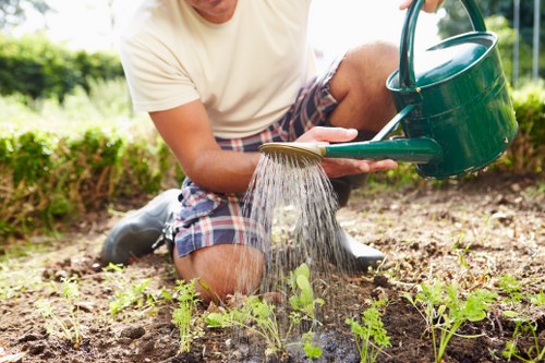 Choosing the right garden maintenance company in Uxbridge