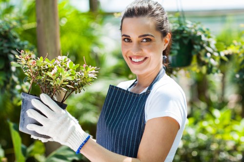 Detailed lawn maintenance services