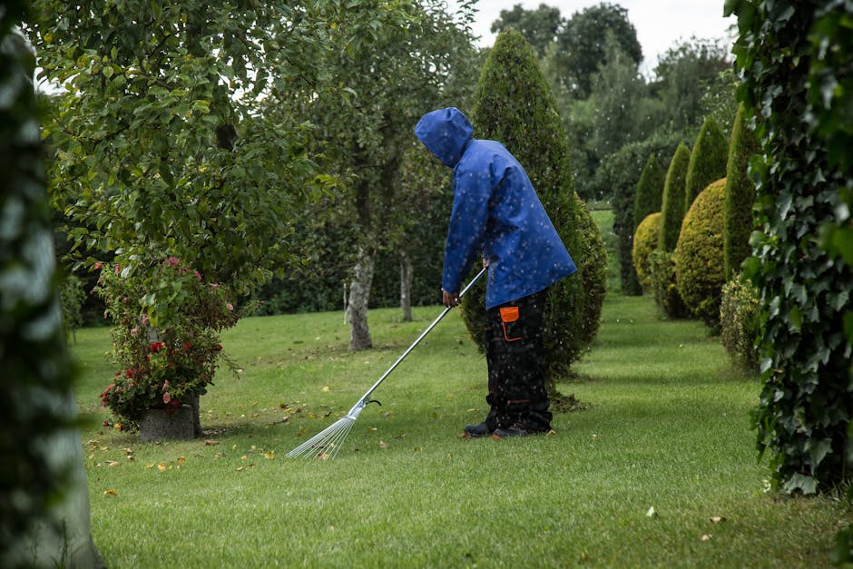 A neatly maintained garden scene featuring a lush green lawn with freshly mown grass, bordered by well-trimmed hedges and a variety of trees with textured bark and green leaves. In the background, the