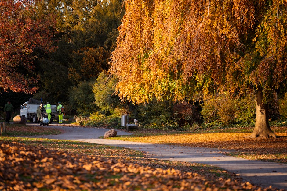 A park pathway is surrounded by large trees with vibrant autumn foliage in shades of orange, yellow, and red. The ground is covered with fallen leaves, and the sunlight casts warm, golden light across